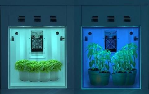 светодиодные светильники спектр выращивание растений освещение